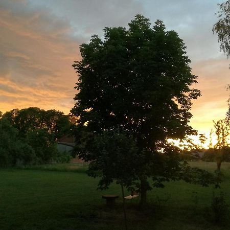 Besinndich Nebelin Buitenkant foto