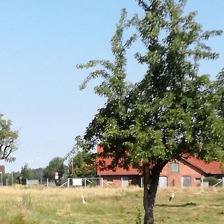 Besinndich Nebelin Buitenkant foto