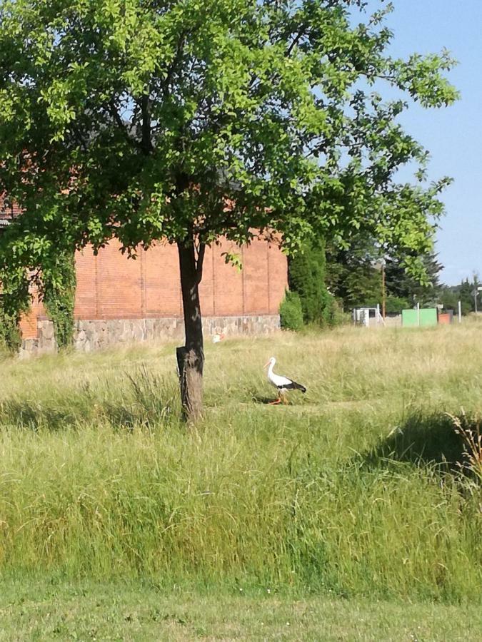 Besinndich Nebelin Buitenkant foto