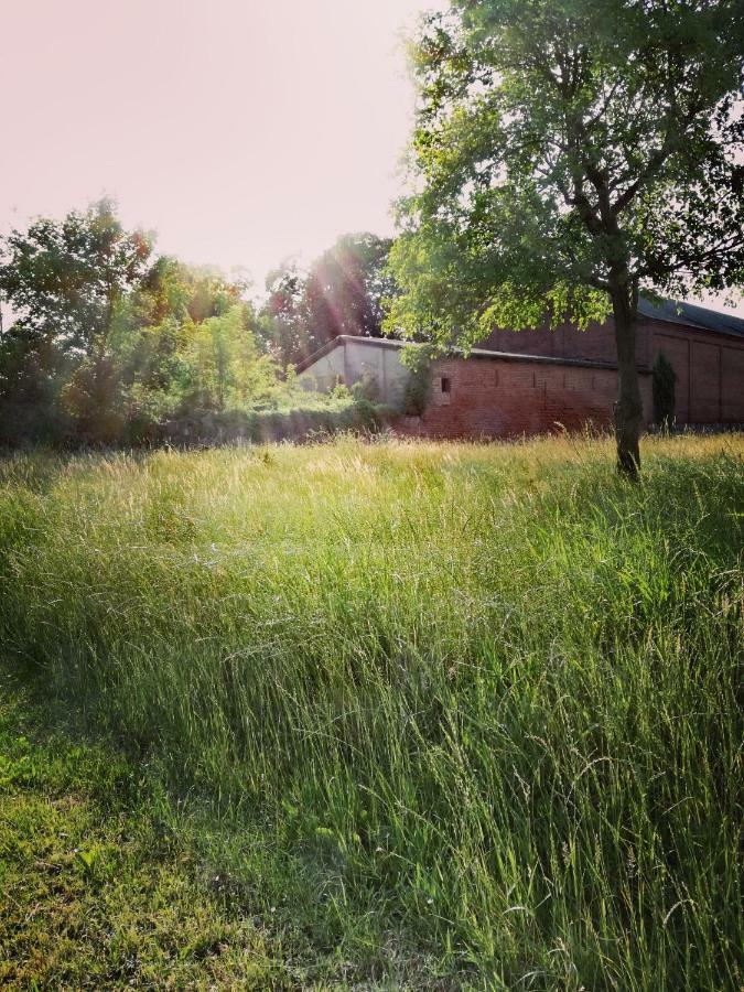 Besinndich Nebelin Buitenkant foto
